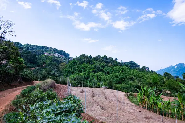 Pha Hi village on the mountain, Chiang Rai province.