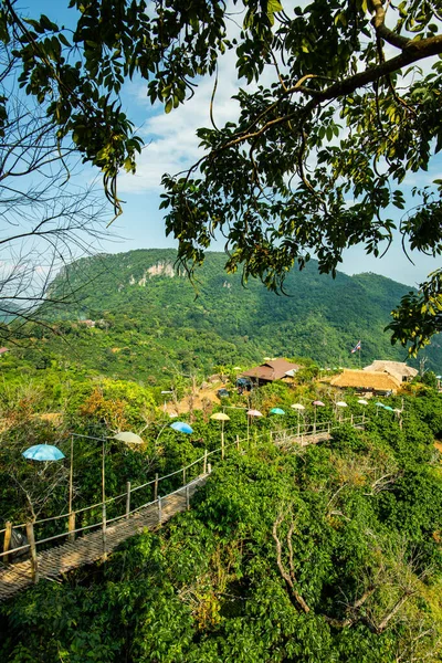 Bamboo bridge with mountain view in Pha Hi village, Chiang Rai province.