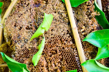 Wild honeycomb at the flea market, Nakhon Sawan Province.