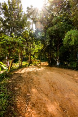 Road to Doi Sa Ngo viewpoint, Chiang Rai province.