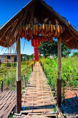 Landscape of Doi Sa Ngo viewpoint in Chiang Rai province, Thailand.