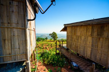 Scenic view at Doi Sa Ngo viewpoint, Chiang Rai province.