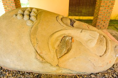 The Buddha Head in Chiang Saen District, Chiang Rai province.