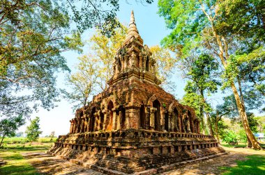 Old pagoda with teak trees in Pa Sak temple, Chiang Rai Province.