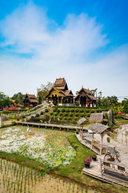 Beautiful park of Tah Mai I temple, Chiang Mai province.