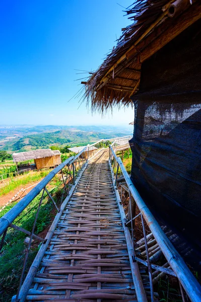 Wooden bridge with scenic view at Doi Sa Ngo viewpoint, Chiang Rai province.