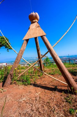Landscape of Doi Sa Ngo viewpoint, Chiang Rai province.