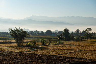 Sabahın erken saatlerinde, Tayland 'ın Pua ilçesindeki tarım arazisi..