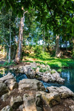 Tham Luang 'da zümrüt havuzu taşkınlığı - Khun Nam Nang Orman Parkı, Chiang Rai.