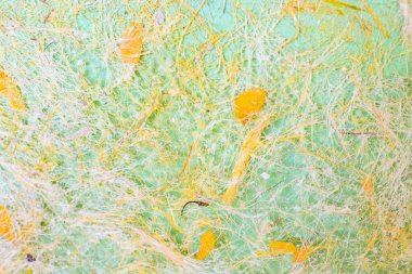 Tayland 'daki dut kağıdı arka planı.