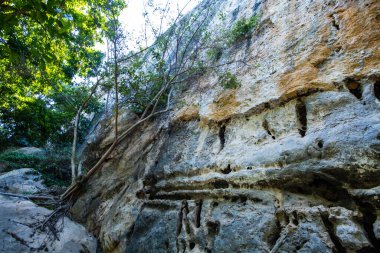 Cliff in tourist attraction of Phratupha rock painting, Lampang province.