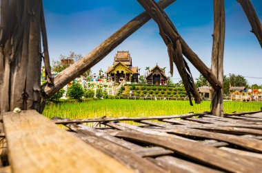 Beautiful park of Tah Mai I temple, Chiang Mai province.