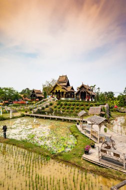 Beautiful park of Tah Mai I temple, Chiang Mai province.