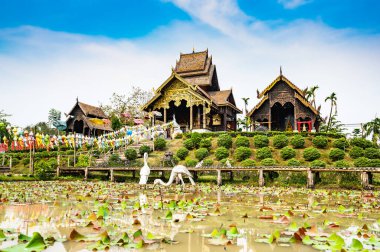 Beautiful park of Tah Mai I temple, Chiang Mai province.