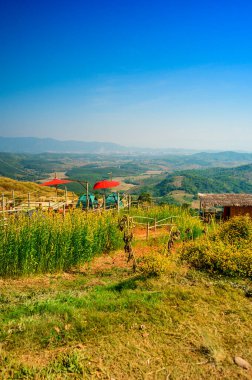 Scenic view at Doi Sa Ngo viewpoint, Chiang Rai province.