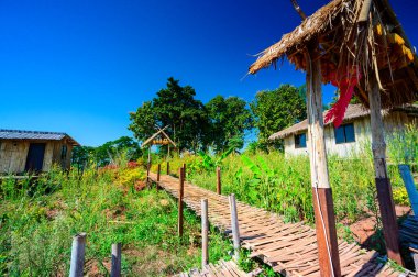 Landscape of Doi Sa Ngo viewpoint in Chiang Rai province, Thailand.