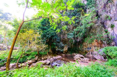 Chiang Rai ilindeki Pha Kong Mağarası 'nın önündeki küçük dere..