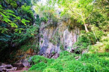 Chiang Rai ilindeki Pha Kong Mağarası 'nın önündeki küçük dere..