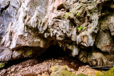 Tayland 'ın Chiang Rai eyaletindeki Pha Kong Mağarası..