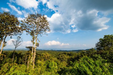Mountains view in Wiang Papao district, Thailand