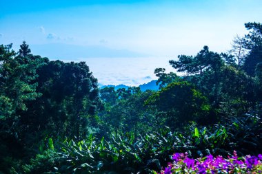 Mountain view at Doi Kiew Lom view point in Huai Nam Dang national park, Thailand.