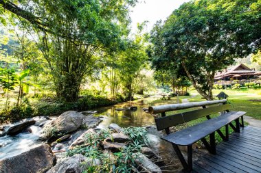 Mountain stream in Chiangmai province, Thailand.