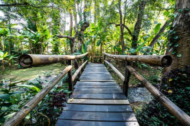 Small bridge with natural park in Chiangmai province, Thailand.