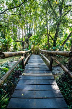 Small bridge with natural park in Chiangmai province, Thailand.