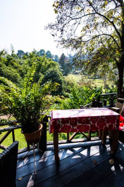 Beautiful park in Chiangmai province, Thailand.