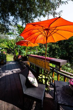 Beautiful park in Chiangmai province, Thailand.