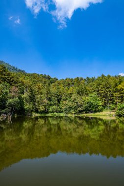 Lake view with reflection in Doi Inthanon national park, Thailand.