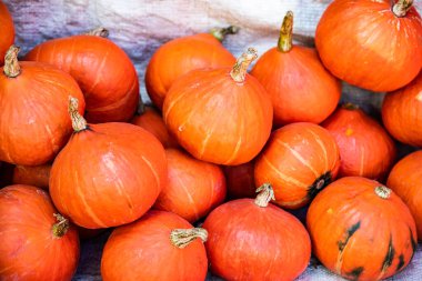 Japanese pumpkin on sale stand, Thailand.