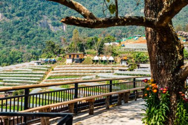 The mountain view of Doi Inthanon national park in Chiangmai province, Thailand.