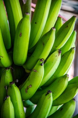 Tayland 'da muz grubu..