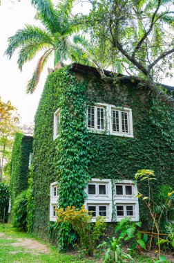 Vintage building with beautiful park in Chiang Mai province, Thailand.