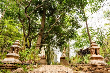 Landscape of Wat Pha Lat, Chiang Mai Province.