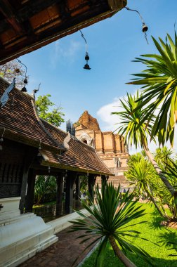 Landscape of Chedi Luang Varavihara temple, Chiang Mai province.