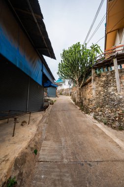Doi Pui Mong hill tribe village at Doi Suthep Pui national park, Thailand.