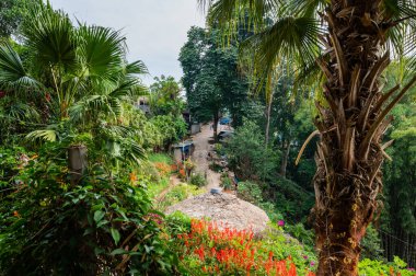 Park at Doi Pui Mong hill tribe village, Chiang Mai province.
