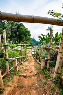Park and viewpoint at Doi Suthep Pui national park, Chiang Mai province.