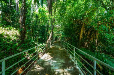 Arboretum Trail in Queen Sirikit Botanic Garden, Chiang Mai Province.