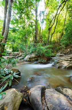 Mae Sa Noi Waterfall in Queen Sirikit Botanic Garden, Thailand.