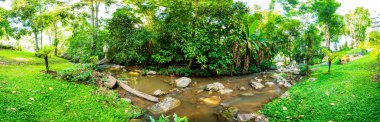 Mae Sa Noi Waterfall in Queen Sirikit Botanic Garden, Thailand.