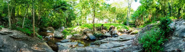 Mae Sa Noi Waterfall in Queen Sirikit Botanic Garden, Thailand.