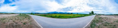Panorama View of Rice Field in Phayao Province, Thailand.