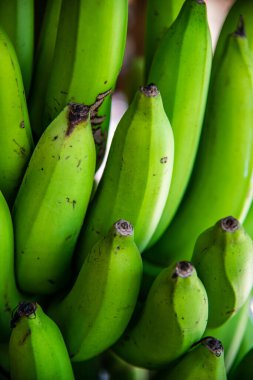 Tayland 'da muz grubu..