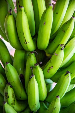 Tayland 'da muz grubu..