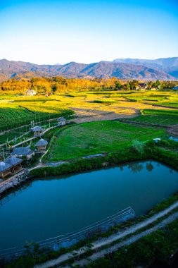 Agricultural field at Wat Phuket view point, Thailand.