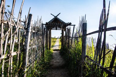 Bamboo fence at Doi Chang Mub base, Chiang Rai province.
