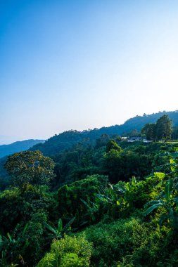 Mountain view at Doi Tung view point, Chiang Rai province.
